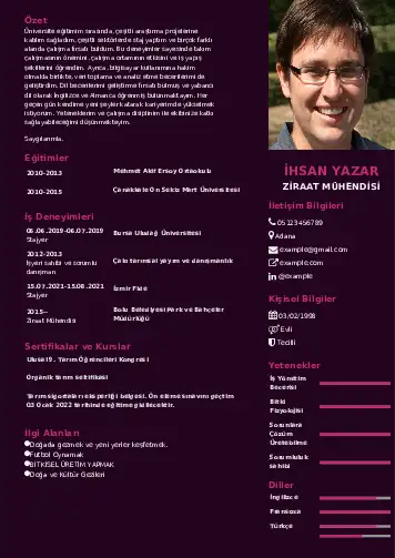 cv indir